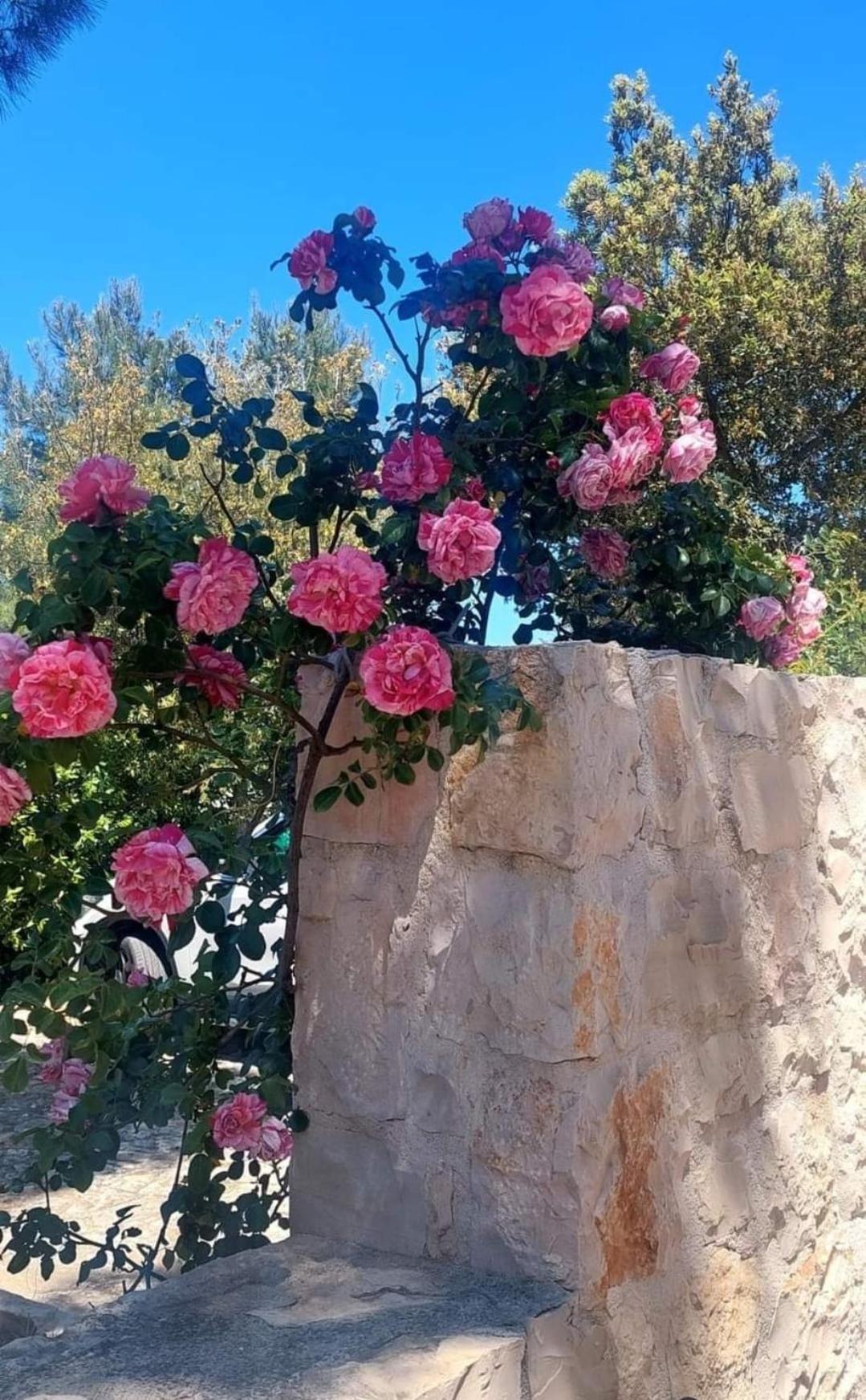 Il Trullo Delle Rose, Monopoli By Il Pumo Di Puglia Villa Cozzana Luaran gambar
