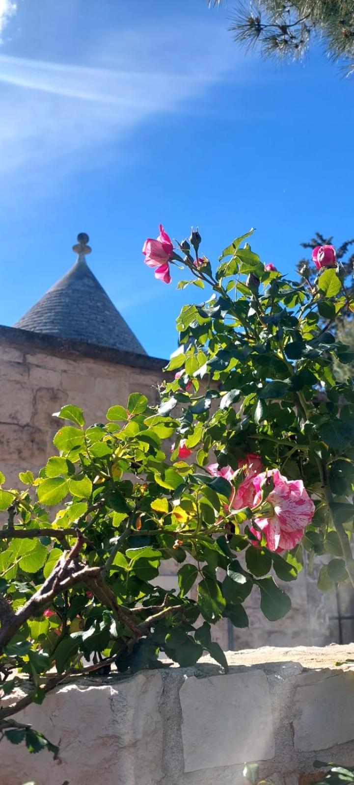 Il Trullo Delle Rose, Monopoli By Il Pumo Di Puglia Villa Cozzana Luaran gambar